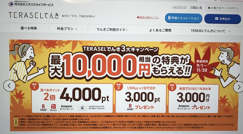 TERRAASELでんき